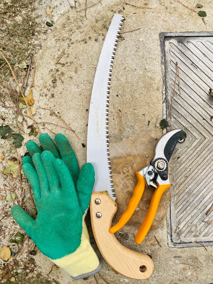 services-02 Top view of gardening gloves, saw, and pruning shears on a stone surface.