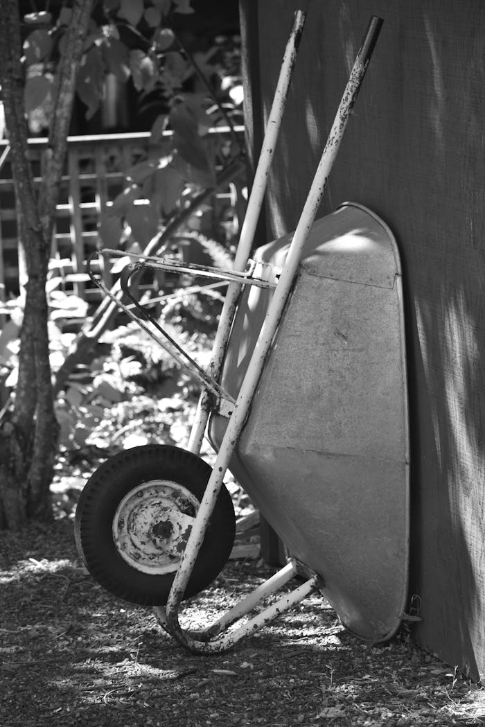 ours-journey A rustic wheelbarrow leans against a shed outdoors in grayscale lighting.