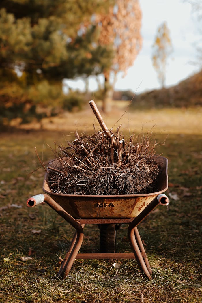 services-01 Old rusty wheelbarrow filled with sticks in a scenic autumn field.