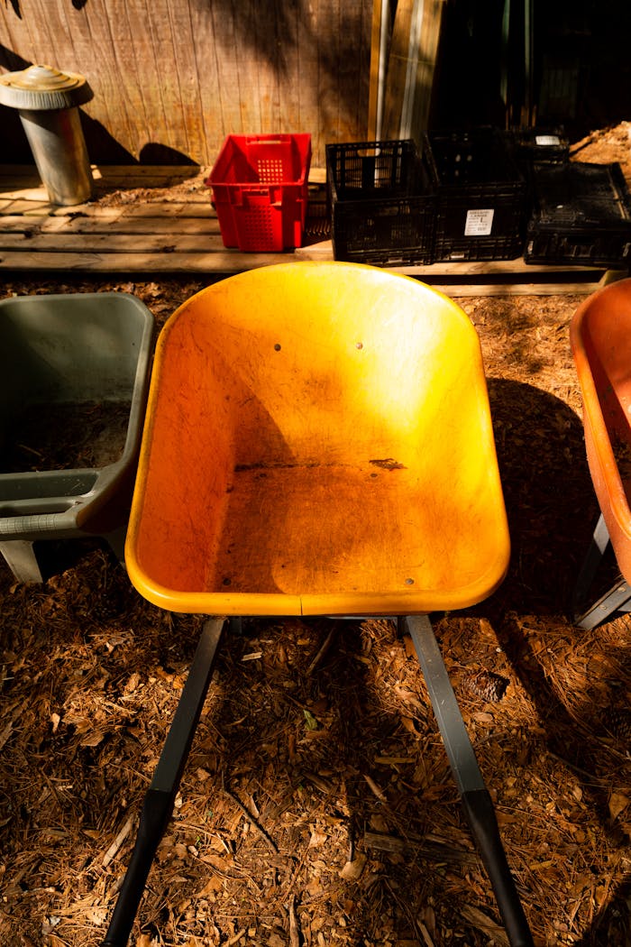 why-choose-us A brightly sunlit yellow wheelbarrow surrounded by garden tools and containers.